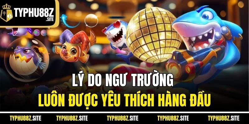 Lý do ngư trường luôn được yêu thích hàng đầu