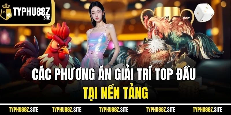 Các phương án giải trí top đầu tại nền tảng