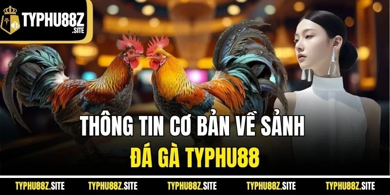 Thông tin cơ bản về sảnh đá gà Typhu88