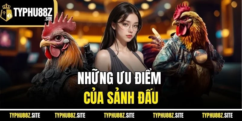 Những ưu điểm của sảnh đấu