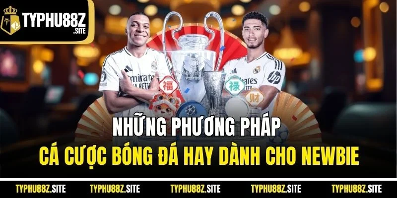 Những phương pháp cá cược bóng đá hay dành cho newbie