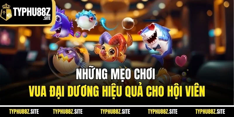 Những mẹo chơi vua đại dương hiệu quả cho hội viên